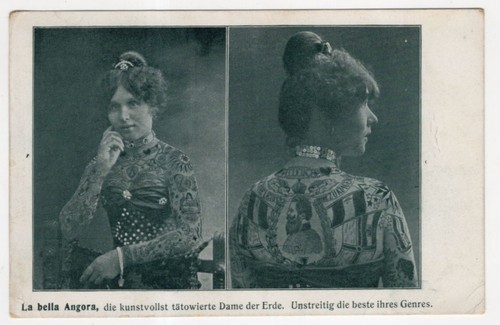 Bella angora die - la,