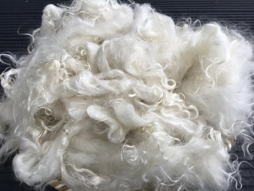 Rohes mohair kaschmirziege - rohes,